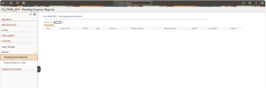 Fig 1.6 Fluid Expenses WorkCenter – Queries Section