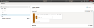 How to Configure Phone Number Validation in VBCS Fig 5: Preview and Publish the Validation Rule